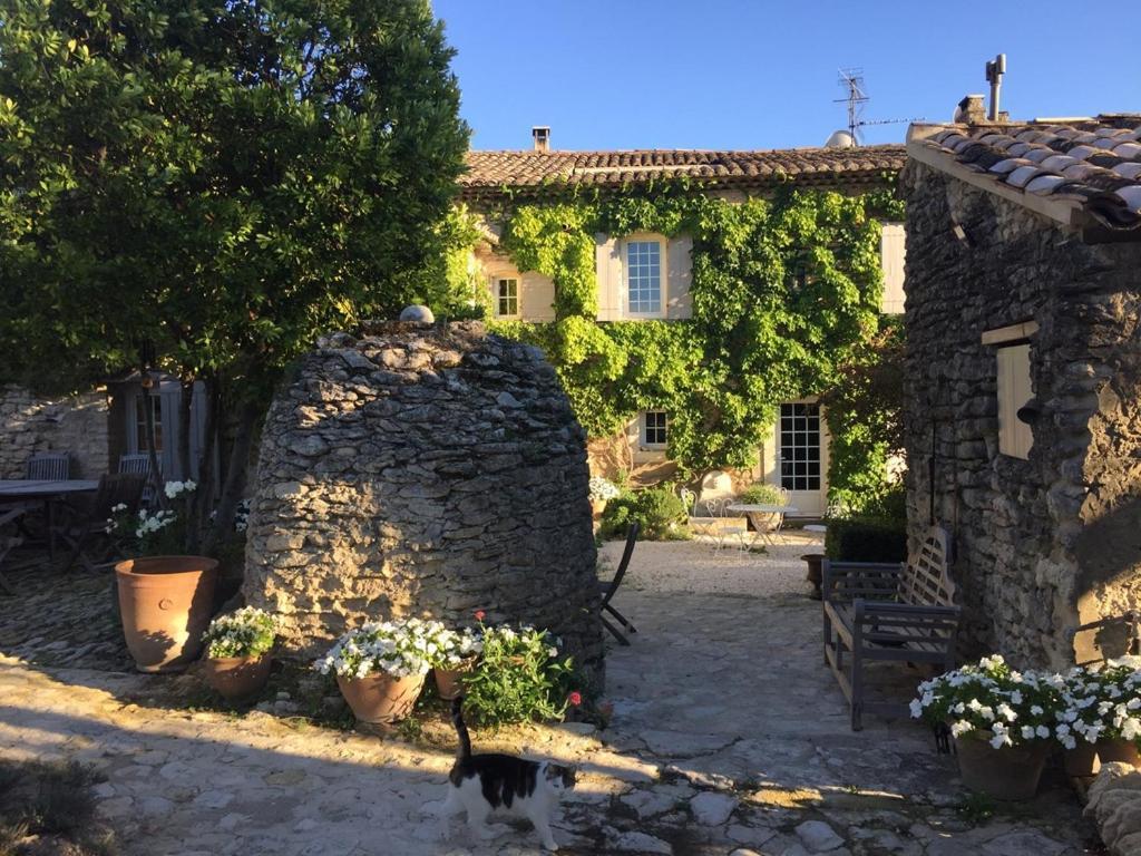 Le Mas Du Lavoir Gordes Exteriör bild